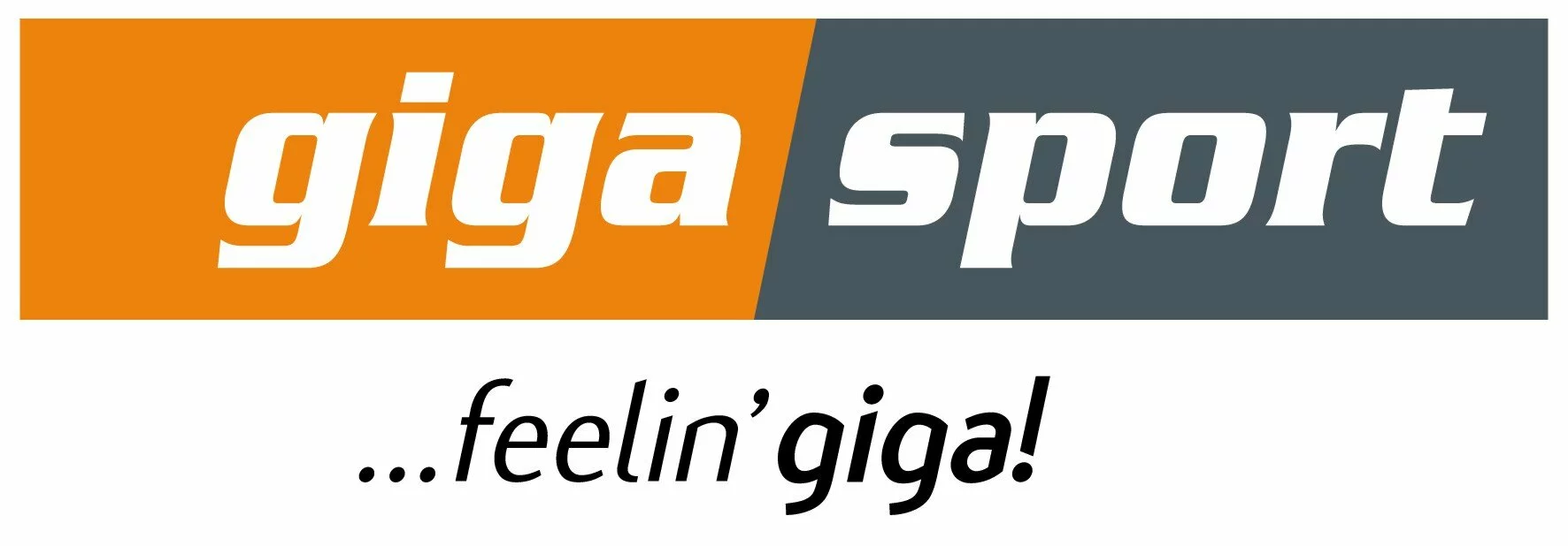 logo gigasport rgb